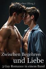 Zwischen Begehren und Liebe: 3 Gay Romance in einem Band