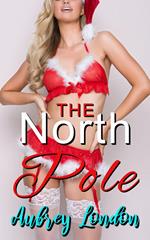 The North Pole