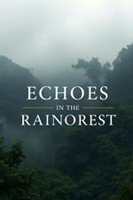 Echoes in the Rainforest