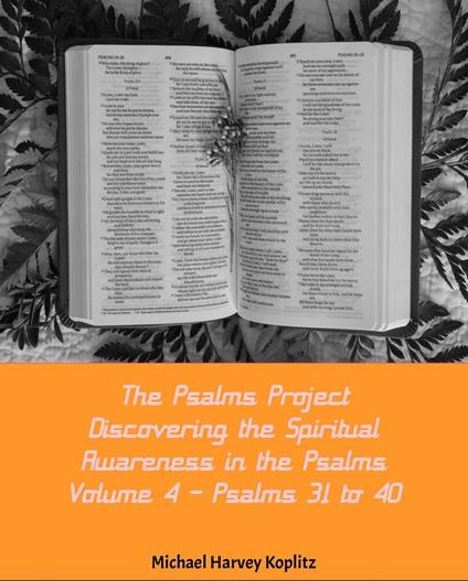 The Psalms Project Volume Four - Discovering the Spiritual World through the Psalms – Psalm 31-40 - Michael Harvey Koplitz - ebook