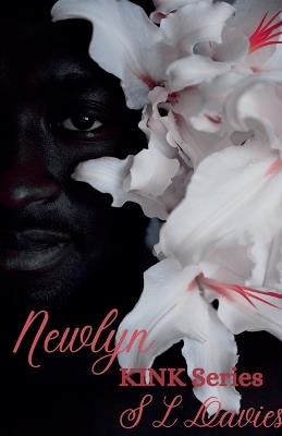 Newlyn - S L Davies - cover