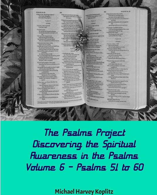 The Psalms Project Volume Six - Discovering the Spiritual World through the Psalms – Psalm 51-60 - Michael Harvey Koplitz - ebook