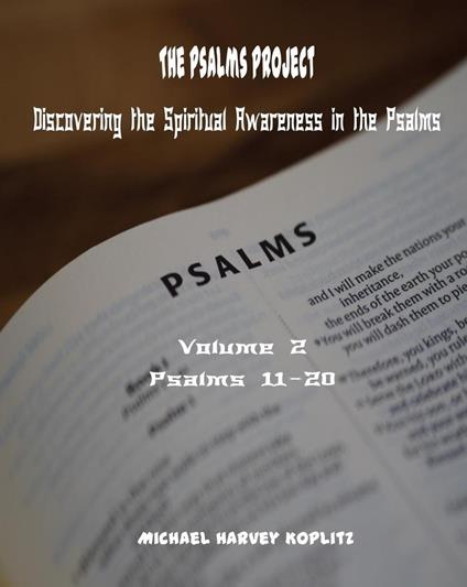 The Psalms Project Volume Two Discovering the Spiritual World through the Psalms – Psalm 11 to 20 - Michael Harvey Koplitz - ebook