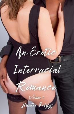 An Erotic Interracial Romance: Volume 3 - Hunter Briggs - cover