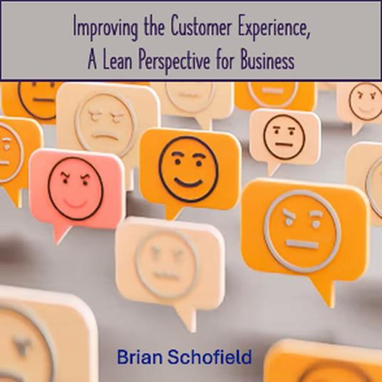 Improving the Customer Experience, A Lean Perspective for Business