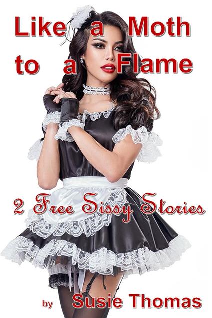 Like A Moth To A Flame - Susie Thomas - ebook