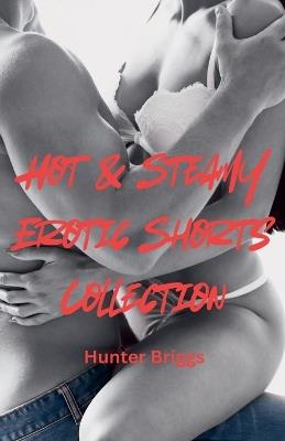 Hot & Steamy Erotic Shorts Collection - Hunter Briggs - cover