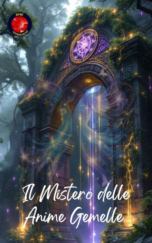 Il Mistero delle Anime Gemelle - Alina Rubi - ebook