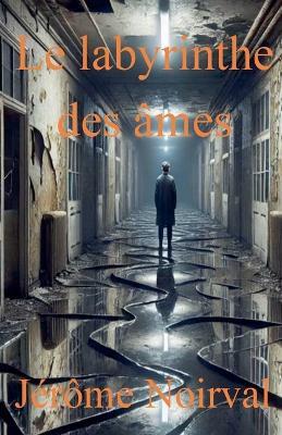 Le labyrinthe des âmes - Jérôme Noirval - cover