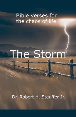 The Storm - Robert Stauffer - cover
