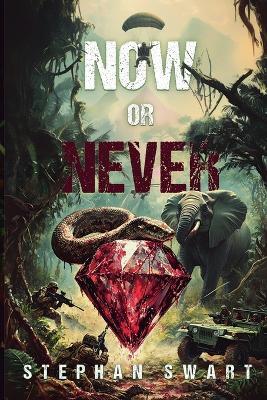 Now or Never - Stephanus Swart - cover