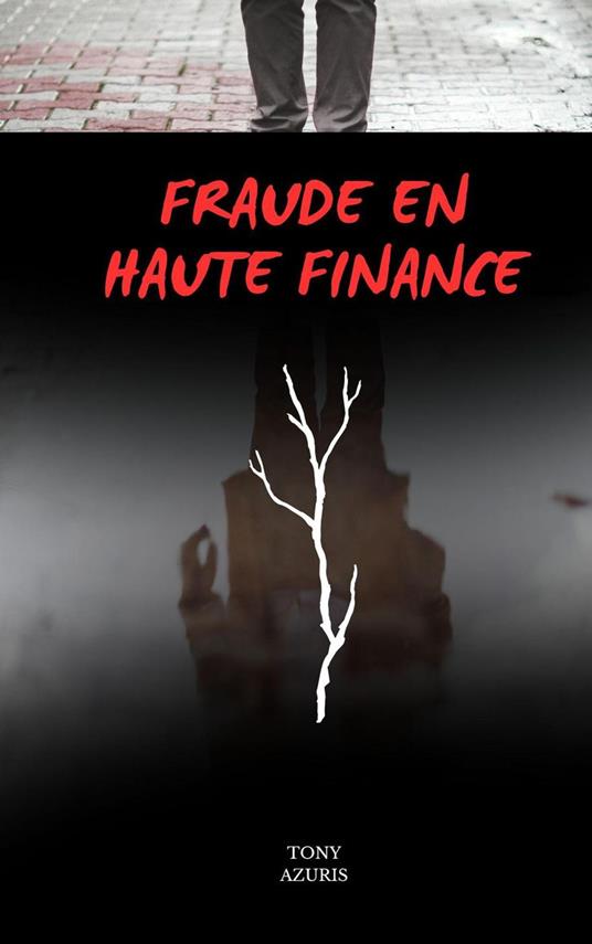 FRAUDE EN HAUTE FINANCE