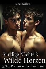 Sündige Nächte & Wilde Herzen: 3 Gay Romance in einem Band