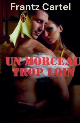 Un morceau trop loin - Frantz Cartel - cover