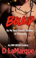 Bound by My Best Friend's Brother