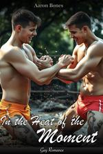 In the Heat of the Moment: Gay Romance