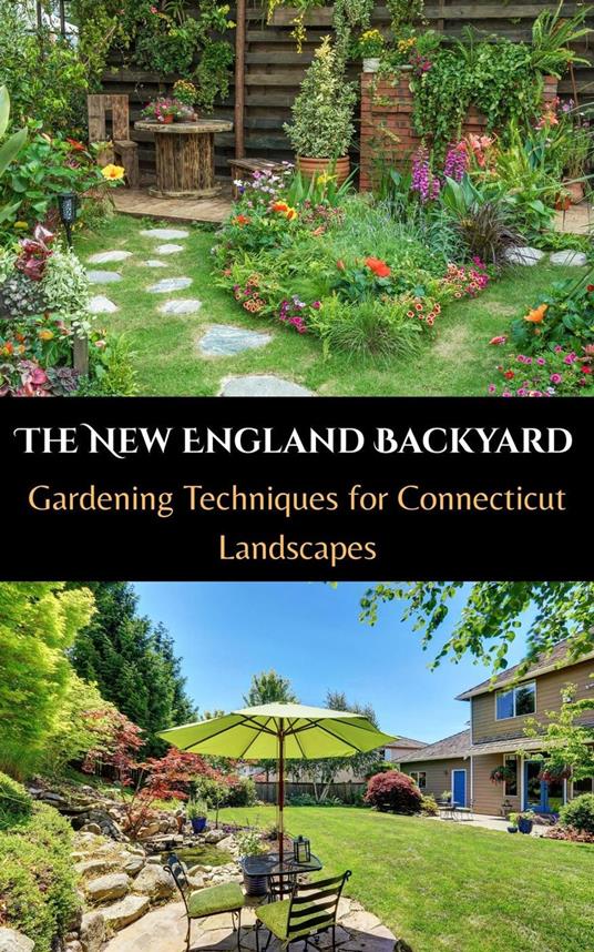 The New England Backyard : Gardening Techniques for Connecticut Landscapes