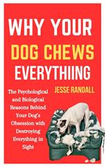 Why Your Dog Chews Everything: The Psychological and Biological Reasons Behind Your Dog’s Obsession With Destroying Everything in Sight