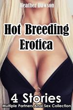 Hot Breeding Erotica (4 Stories Multiple Partners Anal Sex Collection)