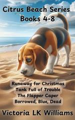 Citrus Beach Series, Books 4-8