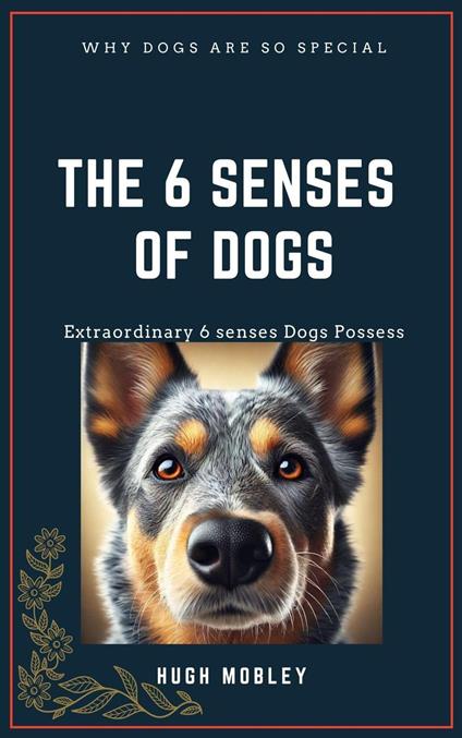 The 6 Senses of dogs