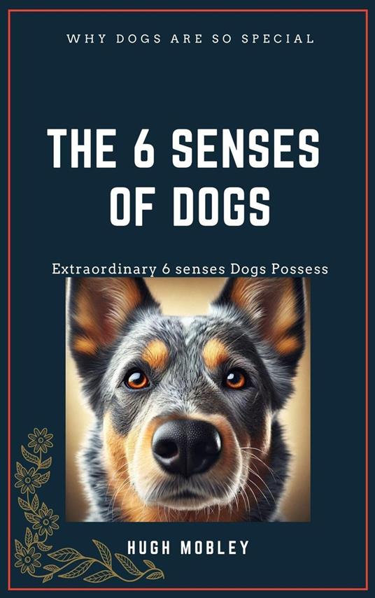 The 6 Senses of dogs