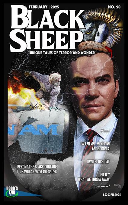 Black Sheep: Unique Tales of Terror and Wonder No. 20 / February 2025