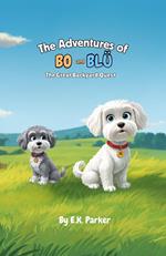 The Adventures of Bo and Blu: The Great Backyard Quest