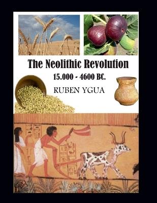 The Neolithic Revolution - Ruben Ygua - cover