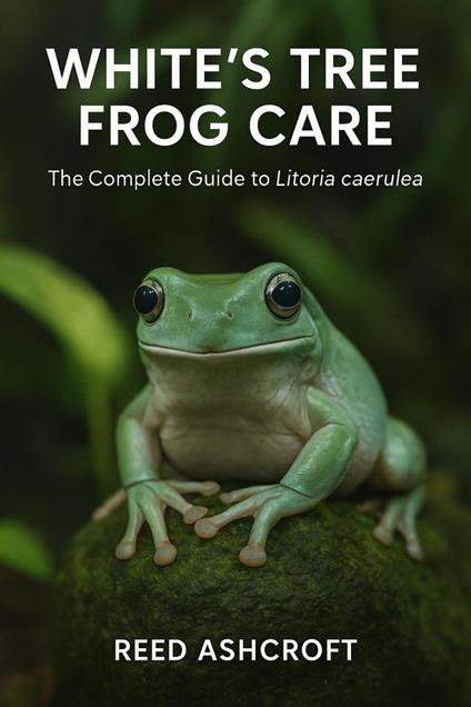 White’s Tree Frog Care The Complete Guide to Litoria caerulea
