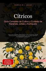 Cítricos: Guía Completa de Cultivo y Cuidado de Naranjas, Limas y Kumquats