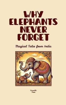 Why Elephants Never Forget: Magical Tales from India - Camaille Press - cover