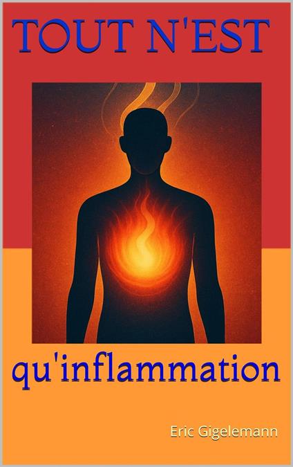 Tout n'est qu'inflammation: Comprendre le messager de la vie