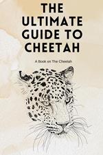 The Ultimate Guide to Cheetah