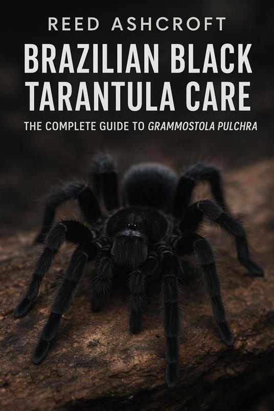 Brazilian Black Tarantula Care The Complete Guide to Grammostola pulchra