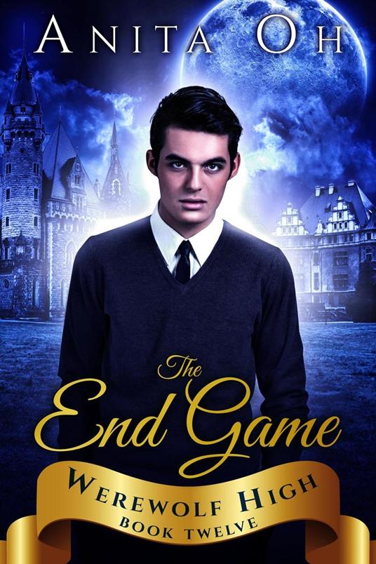 The End Game - Anita Oh - ebook