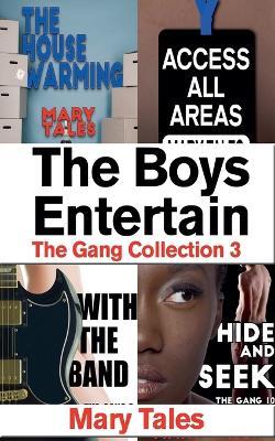 The Boys Entertain - Mary Tales - cover