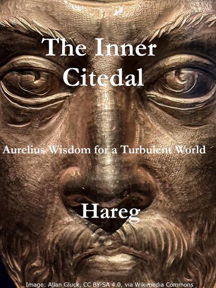 Aurelius’s Wisdom for a Turbulent World