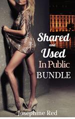 Shared and Used In Public Bundle