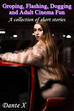 Groping, Flashing, Dogging and Adult Cinema Fun