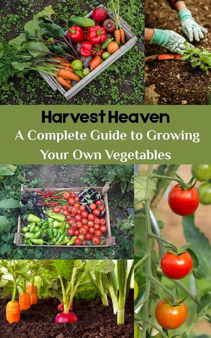 Harvest Heaven : A Complete Guide to Growing Your Own Vegetables