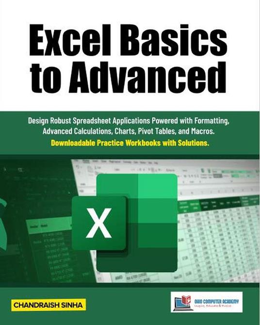 Excel Basics to Advanced