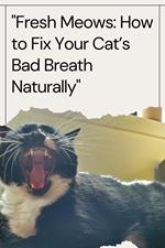 Fresh Meows: How to Fix Your Cat’s Bad Breath Naturally