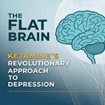 The Flat Brain: Ketamine's Revolutionary Approach to Depression