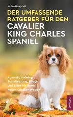 Der Umfassende Ratgeber Für Den Cavalier King Charles Spaniel