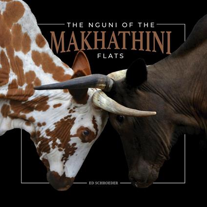The Nguni of the Makhathini Flats