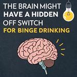 The Brain Might Have a Hidden 'Off Switch' for Binge Drinking