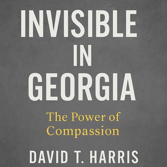 Invisible In Georgia