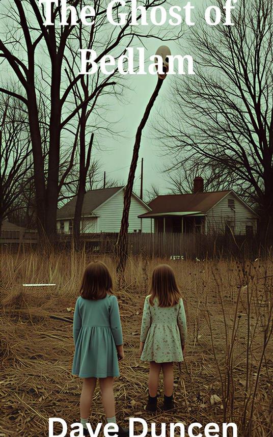 The Ghost of Bedlam ( A Horror Novel)