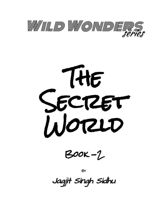The Secret World - jagjit Sidhu - ebook